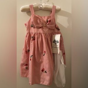 NWT Rare Editions Embroidered Cherry Dress 24months